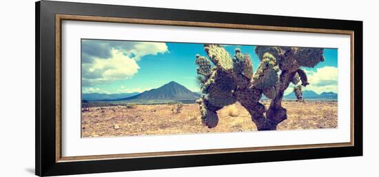 ¡Viva Mexico! Panoramic Collection - Desert Cactus IV-Philippe Hugonnard-Framed Photographic Print