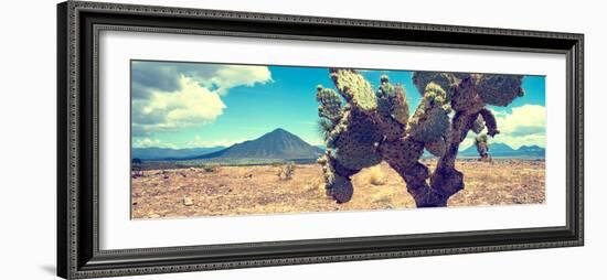 ¡Viva Mexico! Panoramic Collection - Desert Cactus IV-Philippe Hugonnard-Framed Photographic Print