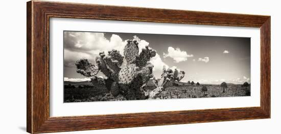 ¡Viva Mexico! Panoramic Collection - Desert Cactus V-Philippe Hugonnard-Framed Photographic Print