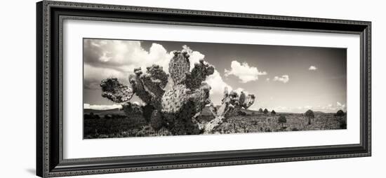 ¡Viva Mexico! Panoramic Collection - Desert Cactus V-Philippe Hugonnard-Framed Photographic Print