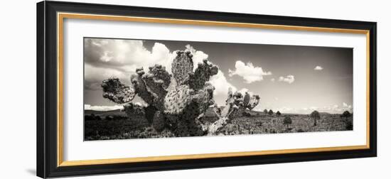 ¡Viva Mexico! Panoramic Collection - Desert Cactus V-Philippe Hugonnard-Framed Photographic Print