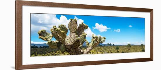¡Viva Mexico! Panoramic Collection - Desert Cactus VII-Philippe Hugonnard-Framed Photographic Print