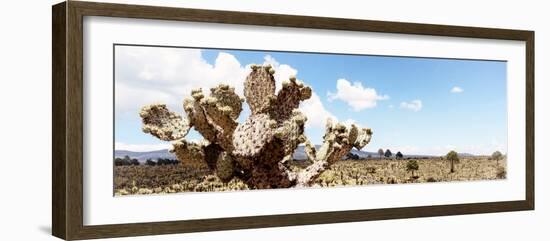 ¡Viva Mexico! Panoramic Collection - Desert Cactus VIII-Philippe Hugonnard-Framed Photographic Print