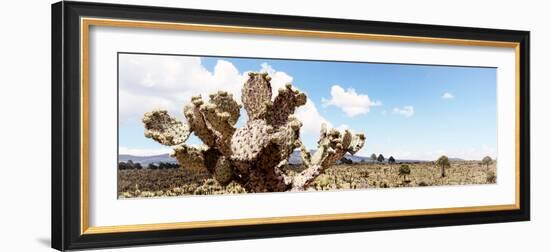 ¡Viva Mexico! Panoramic Collection - Desert Cactus VIII-Philippe Hugonnard-Framed Photographic Print