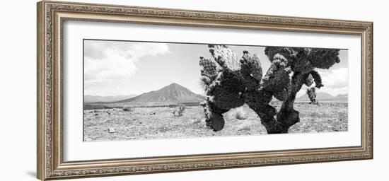 ¡Viva Mexico! Panoramic Collection - Desert Cactus-Philippe Hugonnard-Framed Photographic Print