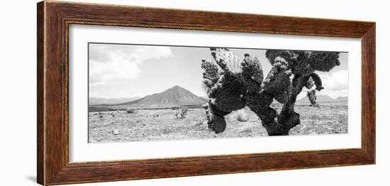 ¡Viva Mexico! Panoramic Collection - Desert Cactus-Philippe Hugonnard-Framed Photographic Print