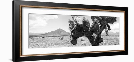 ¡Viva Mexico! Panoramic Collection - Desert Cactus-Philippe Hugonnard-Framed Photographic Print