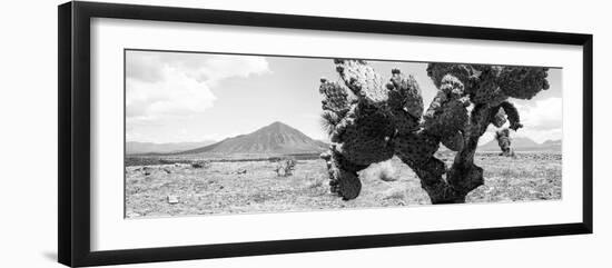 ¡Viva Mexico! Panoramic Collection - Desert Cactus-Philippe Hugonnard-Framed Photographic Print