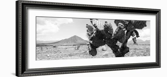 ¡Viva Mexico! Panoramic Collection - Desert Cactus-Philippe Hugonnard-Framed Photographic Print