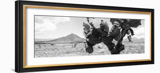 ¡Viva Mexico! Panoramic Collection - Desert Cactus-Philippe Hugonnard-Framed Photographic Print