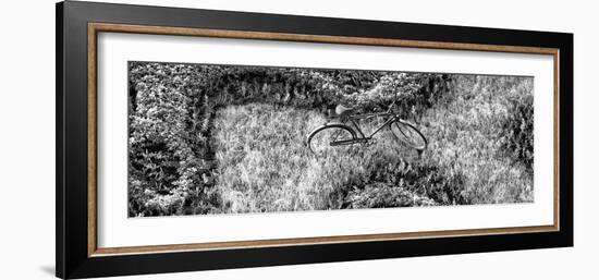 ¡Viva Mexico! Panoramic Collection - Earth from above IV-Philippe Hugonnard-Framed Photographic Print