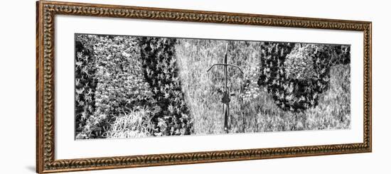 ¡Viva Mexico! Panoramic Collection - Earth from above VI-Philippe Hugonnard-Framed Photographic Print