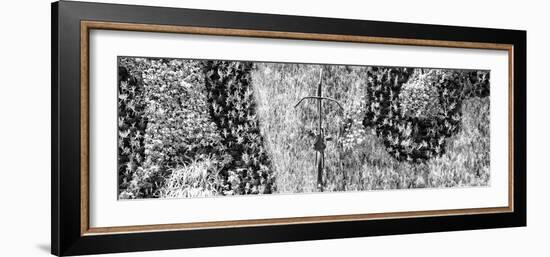 ¡Viva Mexico! Panoramic Collection - Earth from above VI-Philippe Hugonnard-Framed Photographic Print