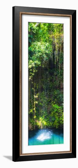 ¡Viva Mexico! Panoramic Collection - Hanging Roots of Ik-Kil Cenote II-Philippe Hugonnard-Framed Photographic Print