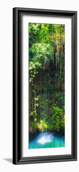 ¡Viva Mexico! Panoramic Collection - Hanging Roots of Ik-Kil Cenote II-Philippe Hugonnard-Framed Photographic Print