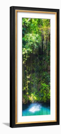 ¡Viva Mexico! Panoramic Collection - Hanging Roots of Ik-Kil Cenote II-Philippe Hugonnard-Framed Photographic Print