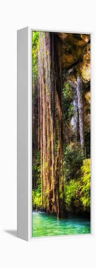 ¡Viva Mexico! Panoramic Collection - Hanging Roots of Ik-Kil Cenote V-Philippe Hugonnard-Framed Premier Image Canvas