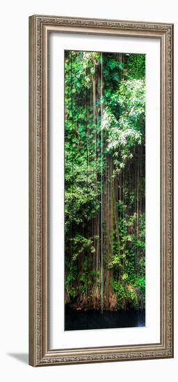 ¡Viva Mexico! Panoramic Collection - Hanging Roots of Ik-Kil Cenote VI-Philippe Hugonnard-Framed Photographic Print