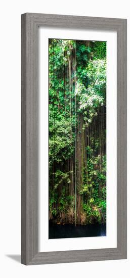 ¡Viva Mexico! Panoramic Collection - Hanging Roots of Ik-Kil Cenote VI-Philippe Hugonnard-Framed Photographic Print