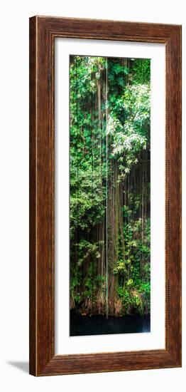 ¡Viva Mexico! Panoramic Collection - Hanging Roots of Ik-Kil Cenote VI-Philippe Hugonnard-Framed Photographic Print