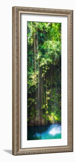 ¡Viva Mexico! Panoramic Collection - Hanging Roots of Ik-Kil Cenote-Philippe Hugonnard-Framed Photographic Print