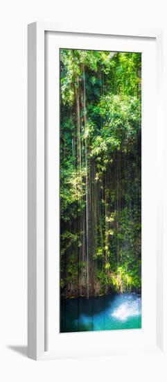 ¡Viva Mexico! Panoramic Collection - Hanging Roots of Ik-Kil Cenote-Philippe Hugonnard-Framed Photographic Print