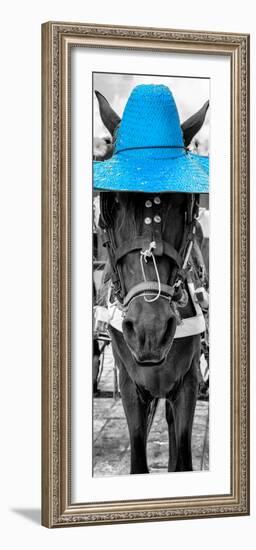 ¡Viva Mexico! Panoramic Collection - Horse with a Blue straw Hat-Philippe Hugonnard-Framed Premium Photographic Print