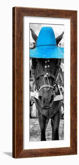 ¡Viva Mexico! Panoramic Collection - Horse with a Blue straw Hat-Philippe Hugonnard-Framed Premium Photographic Print