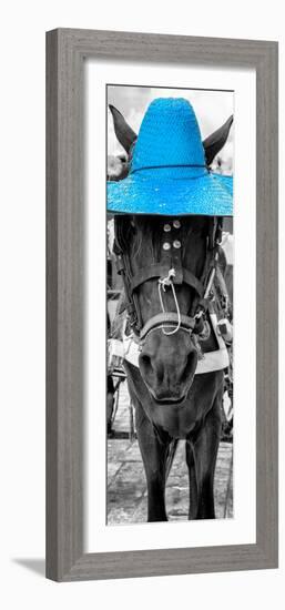 ¡Viva Mexico! Panoramic Collection - Horse with a Blue straw Hat-Philippe Hugonnard-Framed Photographic Print