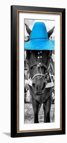 ¡Viva Mexico! Panoramic Collection - Horse with a Blue straw Hat-Philippe Hugonnard-Framed Photographic Print