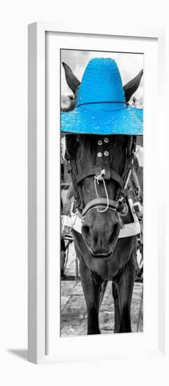 ¡Viva Mexico! Panoramic Collection - Horse with a Blue straw Hat-Philippe Hugonnard-Framed Photographic Print