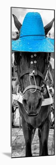 ¡Viva Mexico! Panoramic Collection - Horse with a Blue straw Hat-Philippe Hugonnard-Mounted Photographic Print