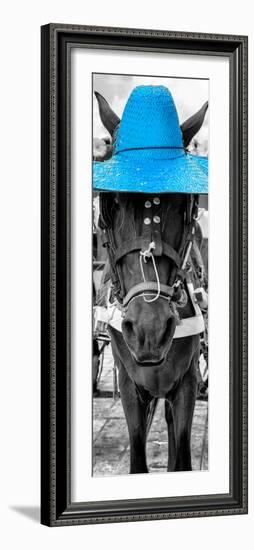 ¡Viva Mexico! Panoramic Collection - Horse with a Blue straw Hat-Philippe Hugonnard-Framed Photographic Print