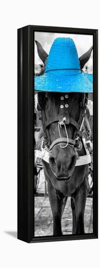 ¡Viva Mexico! Panoramic Collection - Horse with a Blue straw Hat-Philippe Hugonnard-Framed Premier Image Canvas
