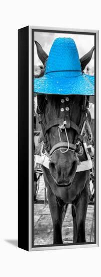 ¡Viva Mexico! Panoramic Collection - Horse with a Blue straw Hat-Philippe Hugonnard-Framed Premier Image Canvas