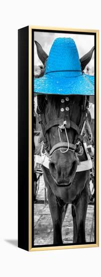 ¡Viva Mexico! Panoramic Collection - Horse with a Blue straw Hat-Philippe Hugonnard-Framed Premier Image Canvas