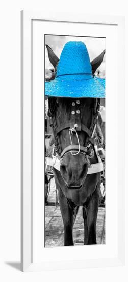 ¡Viva Mexico! Panoramic Collection - Horse with a Blue straw Hat-Philippe Hugonnard-Framed Photographic Print