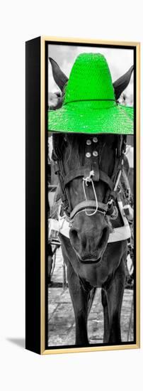 ¡Viva Mexico! Panoramic Collection - Horse with a Green straw Hat-Philippe Hugonnard-Framed Premier Image Canvas