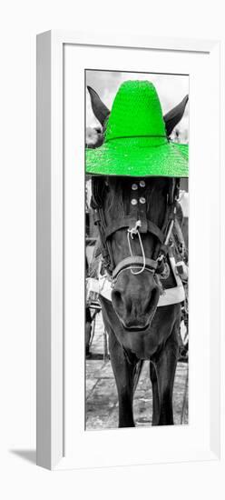 ¡Viva Mexico! Panoramic Collection - Horse with a Green straw Hat-Philippe Hugonnard-Framed Photographic Print