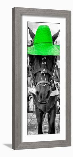 ¡Viva Mexico! Panoramic Collection - Horse with a Green straw Hat-Philippe Hugonnard-Framed Photographic Print