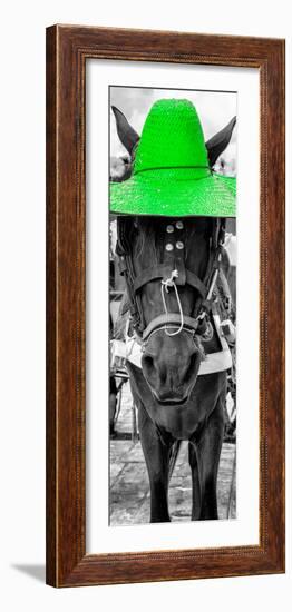 ¡Viva Mexico! Panoramic Collection - Horse with a Green straw Hat-Philippe Hugonnard-Framed Photographic Print