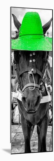 ¡Viva Mexico! Panoramic Collection - Horse with a Green straw Hat-Philippe Hugonnard-Mounted Photographic Print