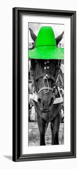 ¡Viva Mexico! Panoramic Collection - Horse with a Green straw Hat-Philippe Hugonnard-Framed Photographic Print