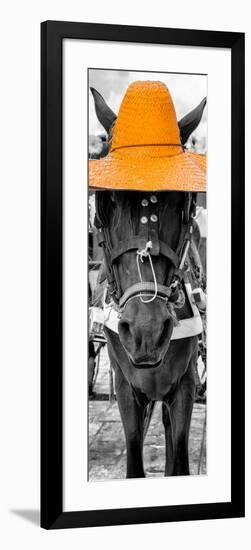 ¡Viva Mexico! Panoramic Collection - Horse with a Light Orange straw Hat-Philippe Hugonnard-Framed Photographic Print