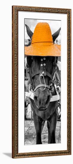 ¡Viva Mexico! Panoramic Collection - Horse with a Light Orange straw Hat-Philippe Hugonnard-Framed Photographic Print