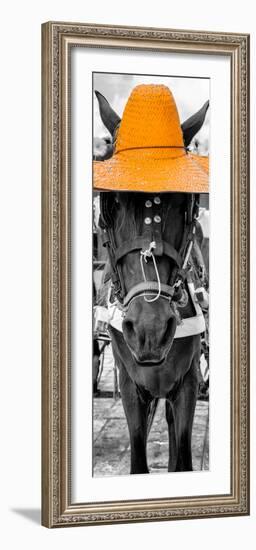 ¡Viva Mexico! Panoramic Collection - Horse with a Light Orange straw Hat-Philippe Hugonnard-Framed Photographic Print