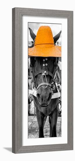 ¡Viva Mexico! Panoramic Collection - Horse with a Light Orange straw Hat-Philippe Hugonnard-Framed Photographic Print