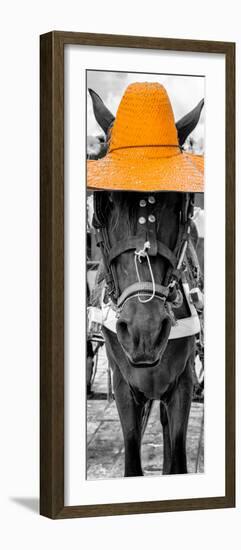 ¡Viva Mexico! Panoramic Collection - Horse with a Light Orange straw Hat-Philippe Hugonnard-Framed Photographic Print