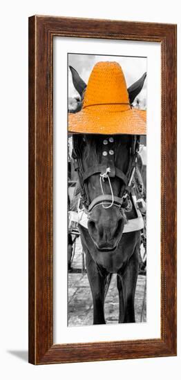 ¡Viva Mexico! Panoramic Collection - Horse with a Light Orange straw Hat-Philippe Hugonnard-Framed Photographic Print