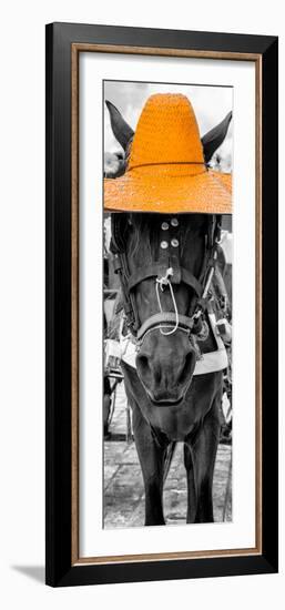 ¡Viva Mexico! Panoramic Collection - Horse with a Light Orange straw Hat-Philippe Hugonnard-Framed Photographic Print